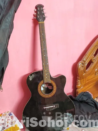 Guitar